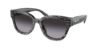 Picture of Coach Sunglasses HC8379F