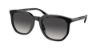 Picture of Coach Sunglasses HC8384U