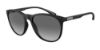 Picture of Emporio Armani Sunglasses EA4210F