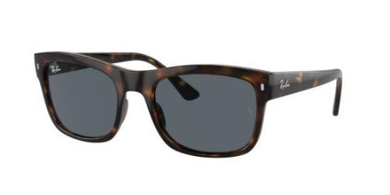 Picture of Ray Ban Sunglasses RB4428