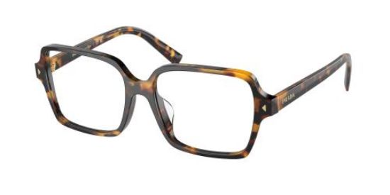 Picture of Prada Eyeglasses PRA02V