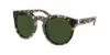 Picture of Ralph Lauren Sunglasses RL8204QU