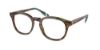 Picture of Polo Eyeglasses PH2267