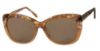 Picture of Suntrends Sunglasses ST240