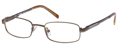 Picture of Harley Davidson Eyeglasses HD 334