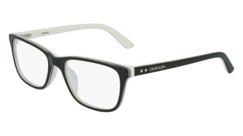 Picture of Calvin Klein Eyeglasses CK19510