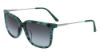 Picture of Calvin Klein Sunglasses CK19702S