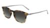 Picture of Salvatore Ferragamo Sunglasses SF2846S