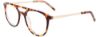 Picture of Ichill Eyeglasses C7043