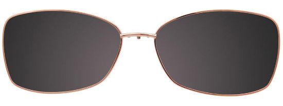 Picture of Easyclip Eyeglasses EC508
