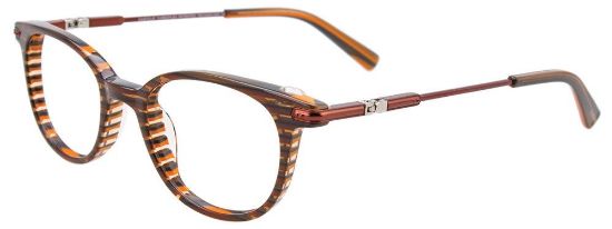 Picture of Easyclip Eyeglasses EC486