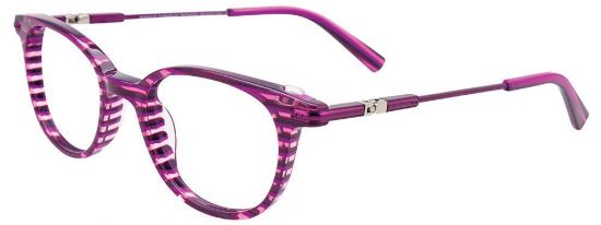 Picture of Easyclip Eyeglasses EC486