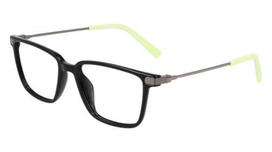 Picture of Flexon Eyeglasses J4017