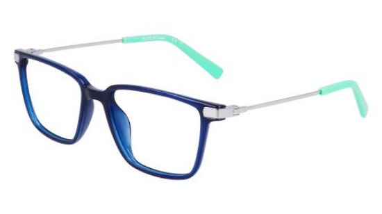 Picture of Flexon Eyeglasses J4017