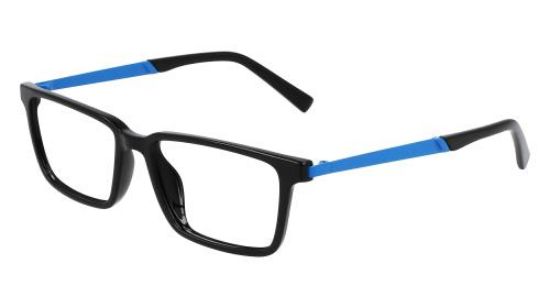 Picture of Flexon Eyeglasses J4018