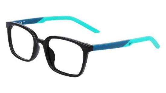 Picture of Nike Eyeglasses 5036