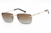 Picture of Charriol Sunglasses PC81008
