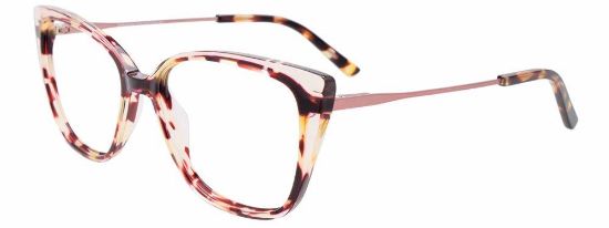 Picture of Paradox Eyeglasses P5088