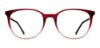 Picture of Adensco Eyeglasses AD 250