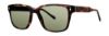 Picture of Penguin Sunglasses THE HUGHES