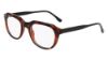 Picture of Mcallister Eyeglasses MC4537