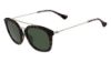 Picture of Calvin Klein Platinum Sunglasses CK3195S