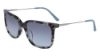 Picture of Calvin Klein Sunglasses CK19702S
