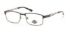 Picture of Harley Davidson Eyeglasses HD0138T