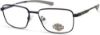 Picture of Harley Davidson Eyeglasses HD0148T