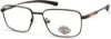 Picture of Harley Davidson Eyeglasses HD0148T