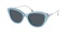 Picture of Swarovski Sunglasses SK6010F