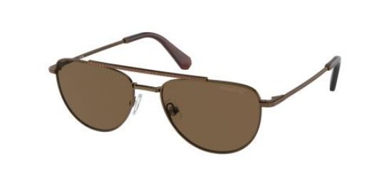 Picture of Swarovski Sunglasses SK7007