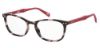 Picture of Levi's Eyeglasses LV 5026