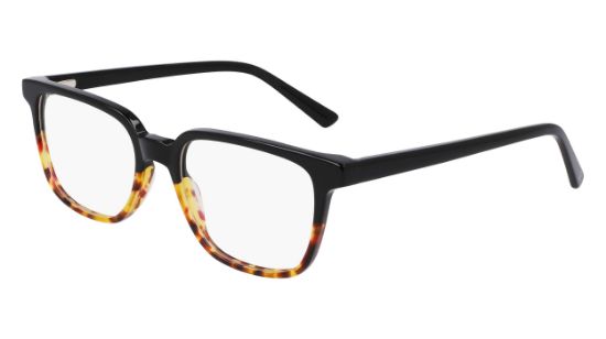 Picture of Lenton & Rusby Eyeglasses LR4503