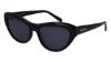 Picture of Salvatore Ferragamo Sunglasses SF1103S