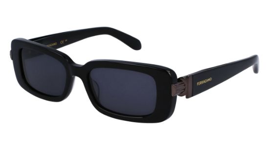 Picture of Salvatore Ferragamo Sunglasses SF1105S