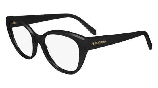 Picture of Salvatore Ferragamo Eyeglasses SF2970