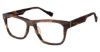 Picture of Ben Sherman Eyeglasses WOOD Ben Sherman