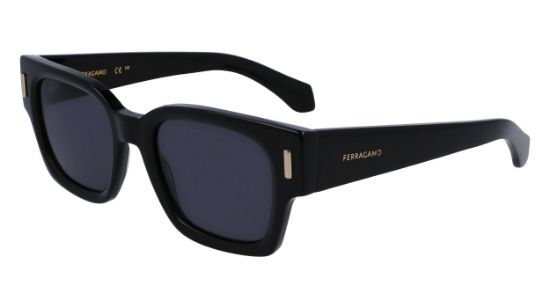 Picture of Salvatore Ferragamo Sunglasses SF2010S
