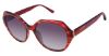 Picture of Nicole Miller Sunglasses BALIFF Resort Nicole Miller