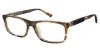 Picture of Champion Eyeglasses WHIM Tween Champion