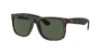 Picture of Ray Ban Sunglasses RB4165