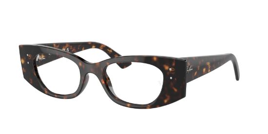 Picture of Ray Ban Eyeglasses RX7327