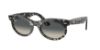 Picture of Ray Ban Sunglasses RB2242F