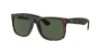 Picture of Ray Ban Sunglasses RB4165F