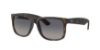 Picture of Ray Ban Sunglasses RB4165F