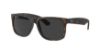 Picture of Ray Ban Sunglasses RB4165F