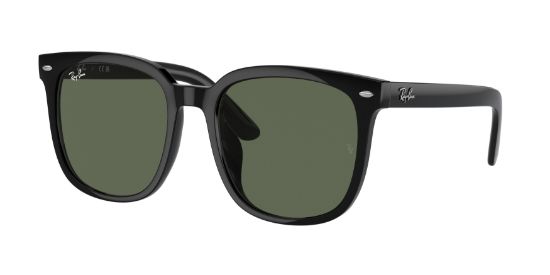 Picture of Ray Ban Sunglasses RB4401D