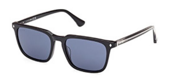 Picture of Web Sunglasses WE0369