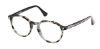 Picture of Web Eyeglasses WE5427